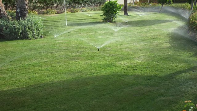 Watering green grass growing outdoor in park at lawn. Working irrigation automatic underground system spraying fresh water. Real time 4k video footage.