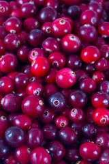 cranberries