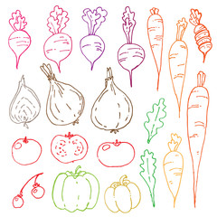Vegetables harvesting fresh food cooking carrots onions tomatoes white background line art vector
