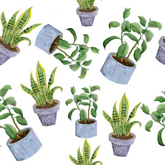 Watercolor seamless hand drawn pattern potted indoor flowers on white isolated background rubber snake plant green foliage grey pink soft pastel violet pots interior design urban jungle healthy trendy