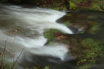 Black Forest Köllbach