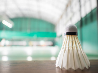 The shuttlecock is on the green badminton court floor. There is motion blur. The highlight is the badminton ball. There is space for the copy space.