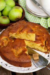 Sweet fruit cake with fresh apples and cinnamon