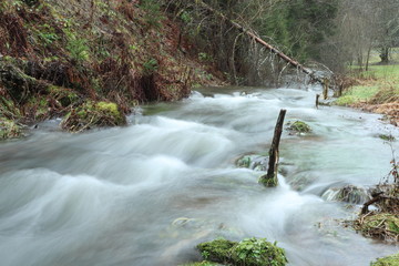 Black Forest Köllback