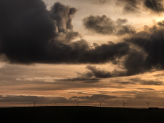 Fototapeta premium Wind turbines at the Danish North Sea coast in Bovbjerg