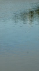 abstract water background