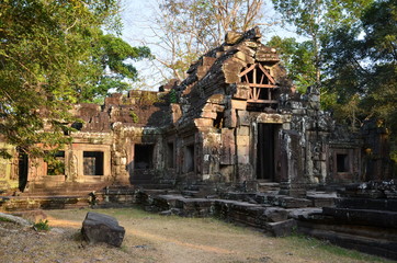 Ein Highlight im UNESCO-Welterbe Angkor: Ta Prohm