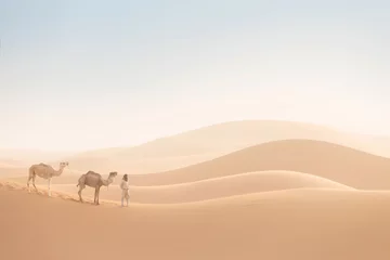 Poster Bedouin and camels on way through sandy desert. Nomad leads a camel caravan in the Sahara during a sand storm, Morocco, Africa  © Michal