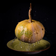 orange-green decorative pumpkin hangs in the air on a black background. Water pours on the pumpkin. The concept of frozen spray