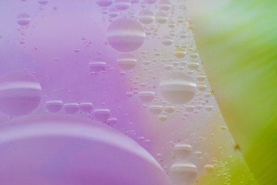 Oil on water macro closeup with purple and green botom