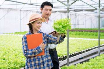 Obraz premium Owner hydroponic organic farm check green vegetable quality in the field.