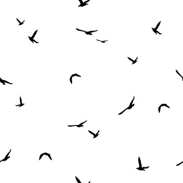 Seamless abstract pattern with black flying birds on white background.