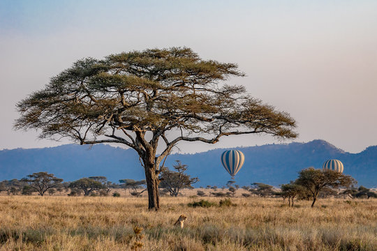 ballon Tanzanie