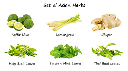 Set of asian herbs on white background