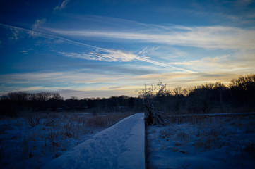 Obraz premium Winter day in the wetland