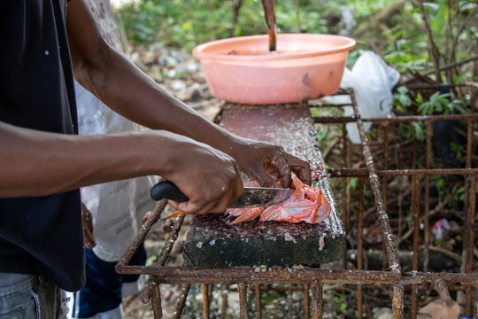 Cleaning fish on a tropical beach