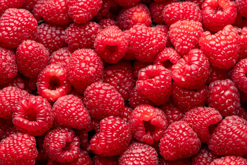 Raspberries. Fresh juicy raspberries bright background. - obrazy, fototapety, plakaty