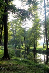 Fototapeta na wymiar Naturerlebnis im Spreewald: Wasserwege in ruhiger Natur, Brandenburg
