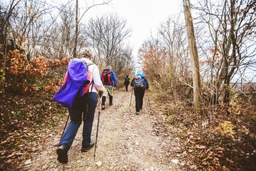  active people trekking in the forest