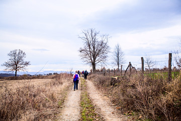 Hiking Group Of People Walking In Nature