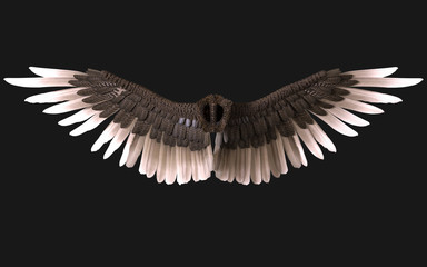 3d Illustration Sphinx Wings, Black Wing Plumage Isolated on Dark Background