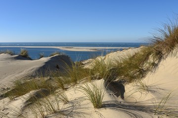 Arcachon, dunes face au banc d'Arguin