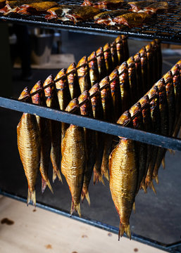 Fish hanging in smoker