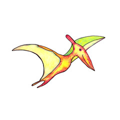 Hand drawn watercolor pterodactyl on white background. Flying dinosaur for your design.