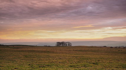 Beautiful sunset lighting up the clouds over Danby Moor with lone trees set against the hills, North York Moors National Park, UK