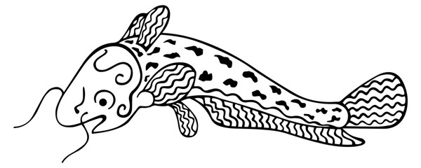 Black and white catfish. Freshwater, scaleless fish for antistress coloring book and tattoo. Hand-drawn isolated zodiac doodle. Vector.