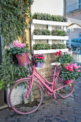 Fototapeta na wymiar Vintage pink bike in the street