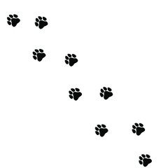 Footprints of a pet. Vector background template.  Wallpaper. Dog isolated. Animal print. 