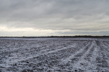 Winter arable land. Snow cover and cold gloomy day.