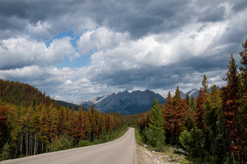 Une route panoramique dans les Rocheuses canadiennes pendant une journée d'été ensoleillée. Prise dans Icefields Parkway, parc national Banff, Alberta, Canada.