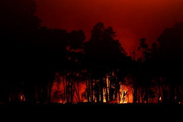 Aerial view forest fire on the slopes of hills and mountains