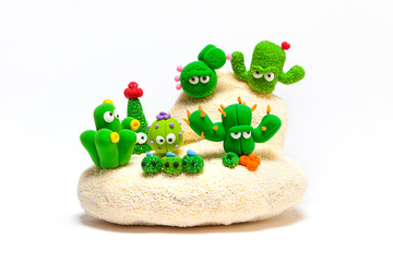 Cactus garden