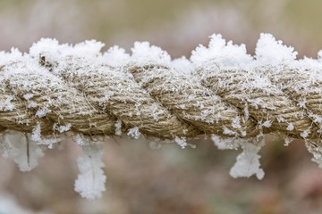 Frozen details 