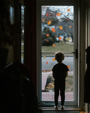 A little boy looks out a glass storm door with autumn leaf decals on i