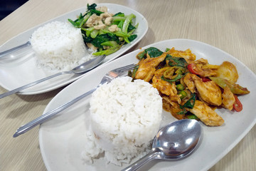 Spicy Thai food portions on two plates. Chicken with red and green curry. Also boiled rice.