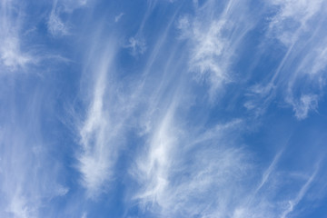 Fototapeta premium blue sky with cloud