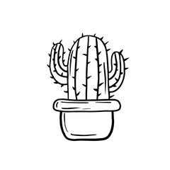 Cactus. Vector linear illustration of a cactus. Sketch drawing of a houseplant.
