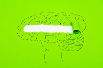 The concept of mental health diseases.