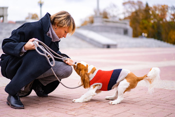 Woman is playing wit a Cavalier King Charles Spaniel dog outdoors.