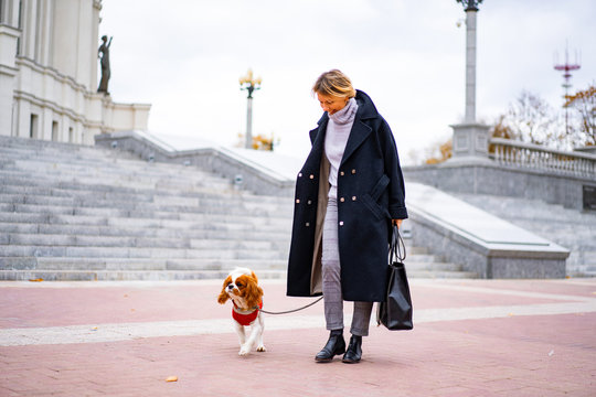 A woman walks in the city with a Cavalier King Charles Spaniel dog.