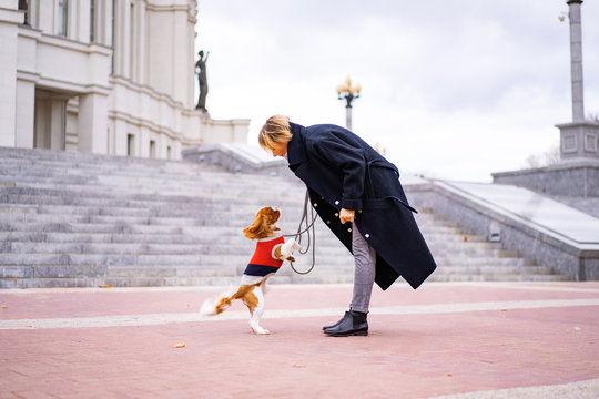 Woman on the walk with a Cavalier King Charles Spaniel dog