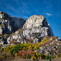 Contrast between the cool granite and the color of the autumn woodland