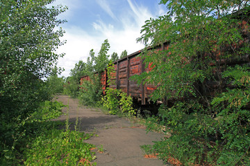Old lifeless railway, overgrown with the trees. Abandoned rusty wagons on railway tracks on the...