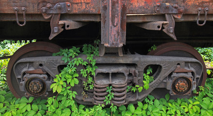 Fototapeta na wymiar An old lifeless railway overgrown with a creeping vineyard. Rusty railway cart and wagon on railway tracks overgrown with grass, vineyard and trees. Railway oblivion time