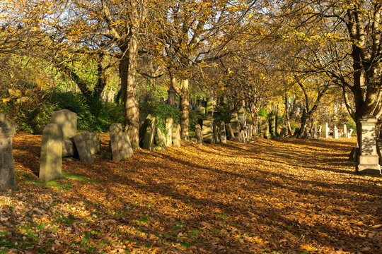 Old Tombstones on the sunny autumn day of the old Victorian cemetery Necropolis in United Kingdom. Religion and death theme. 