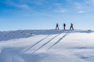 group of 3 senior adults snowshoeing  in the Bregenz wald mountains above the village of Bezau,...